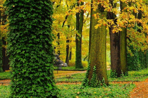 纳音五行分析城头土命女是什么意思命运好吗