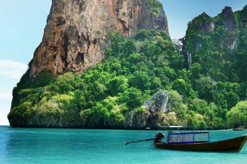 八字中木旺什么意思要忌讳什么