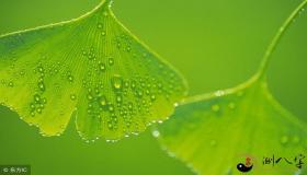 你学了八字基础该如何踏出算命第一步？五行性