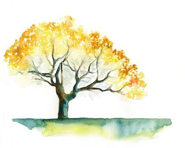 属蛇2021年运势及运程-2021年属蛇人的全年每月运势