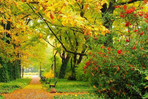 生辰八字水旺的女人婚姻不顺利吗