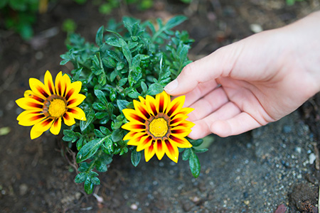 喜神方位查询 2021年6月26日喜神在哪个方位