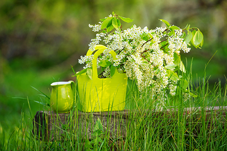 发财路上的最佳拍挡