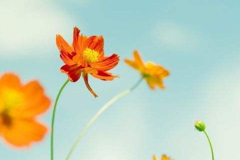 五行火命人财位在哪方向发展最好