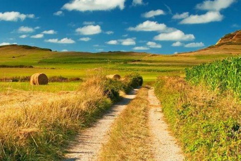 属猴2021年运势及运程怎样,2021年属猴人佩戴什么吉祥物