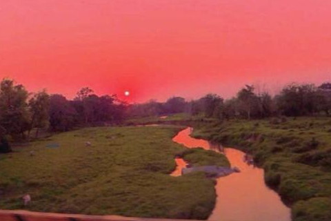 属猴2021年运势及运程怎样,2021年属猴人佩戴什么吉祥物