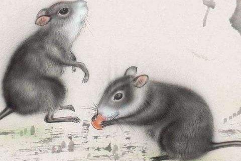 属鼠2021年运势及运程怎样,2021年属鼠人佩戴什么吉祥物