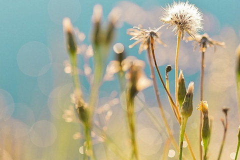 属鼠2021年运势及运程怎样,2021年属鼠人佩戴什么吉祥物