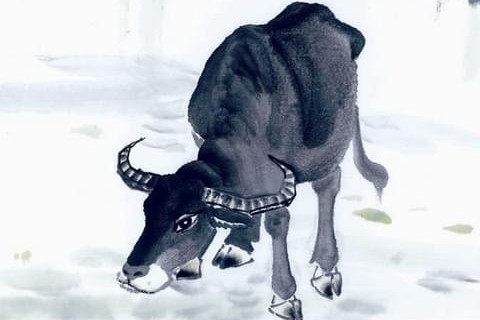 属牛2021年运势及运程怎样,2021年属牛人佩戴什么吉祥物