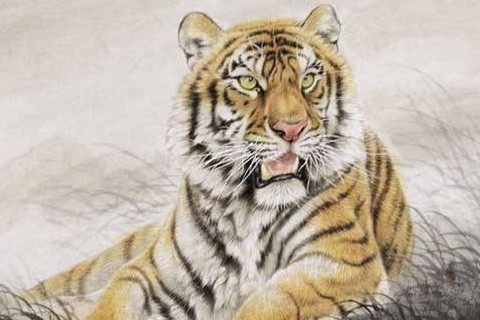 属虎2021年运势及运程怎样,2021年属虎人佩戴什么吉祥物