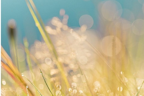 属虎2021年运势及运程怎样,2021年属虎人佩戴什么吉祥物