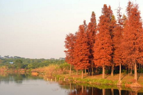 属蛇2021年运势及运程怎样,2021年属蛇人佩戴什么吉祥物