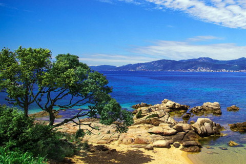 属蛇2021年运势及运程怎样,2021年属蛇人佩戴什么吉祥物