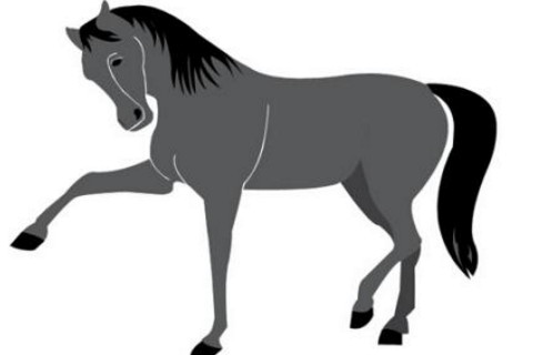 属马2021年运势及运程怎样,2021年属马人佩戴什么吉祥物