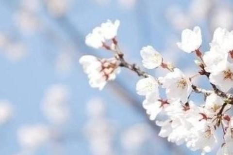 属马2021年运势及运程怎样,2021年属马人佩戴什么吉祥物