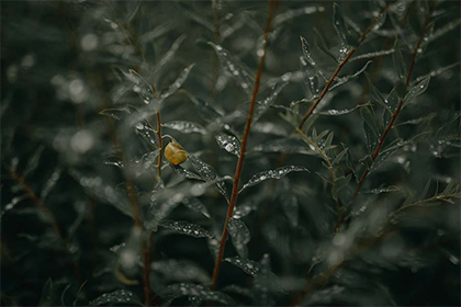 农历生日和公历生日几年会重合一次？