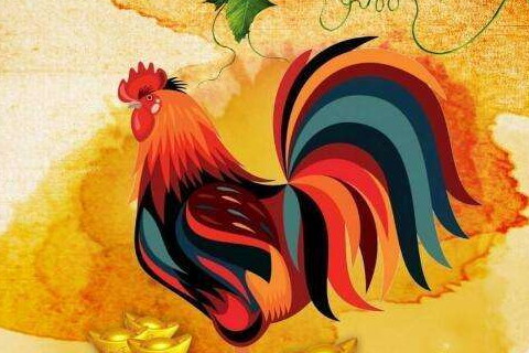 属鸡的人哪个月出生最好