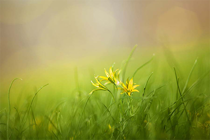 农历生日和公历生日几年会重合一次？