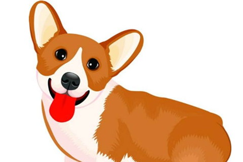 属狗的人哪个月出生最好