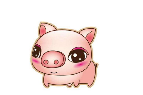 属猪的人哪个月出生最好