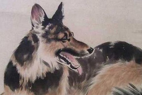 属狗2021年运势及运程怎样,2021年属狗人佩戴什么吉祥物