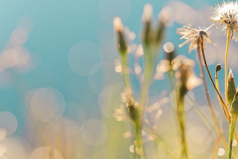 五行火命缺金的人戴什么最旺运