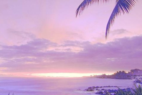 属猪2021年运势及运程怎样,2021年属猪人佩戴什么吉祥物