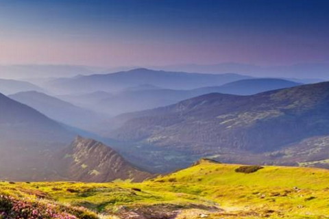 火命人家里放啥招财植物选择什么好